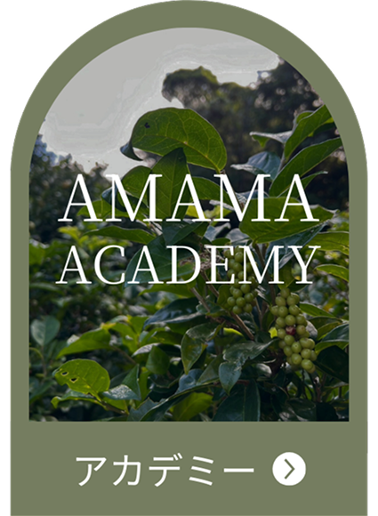 AMAMAokinawaのサービス ACADEMY